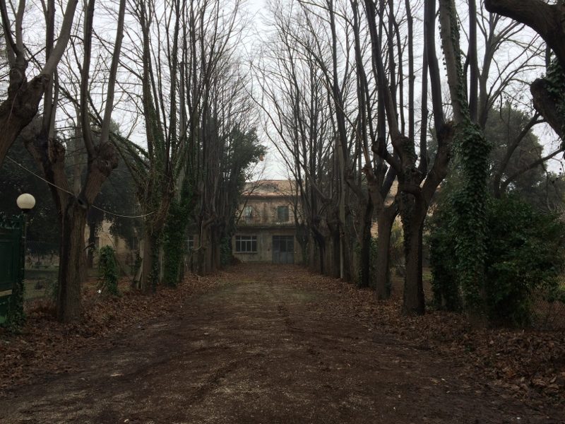 San Benedetto (2) (800x600).jpg